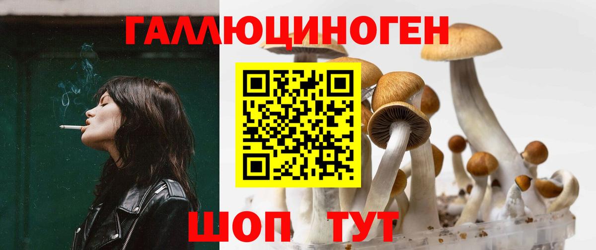 Псилоцибиновые грибы GOLDEN TEACHER Кохма