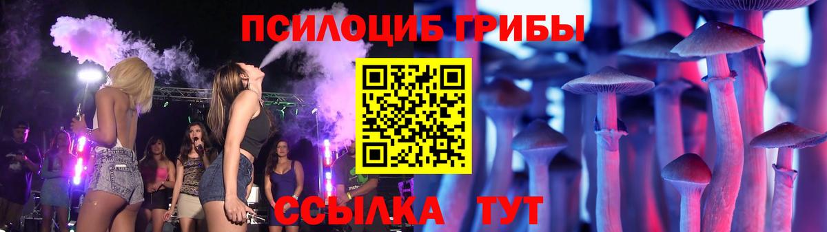 Кохма  Псилоцибиновые грибы Cubensis  Галлюциногенные грибы прущие грибы  Вход с VPN 
